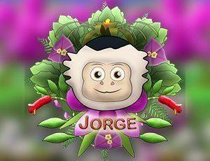 Jorge's Pattern Puzzle Journey