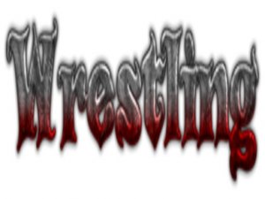 Wrestling Fight Go Online Game