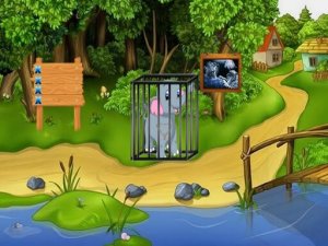 Rescue The Elephant Calf Puzzle Game