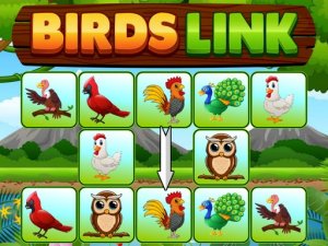 Birds Link Puzzle Game