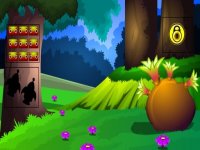Bushland Escape Puzzle Adventure
