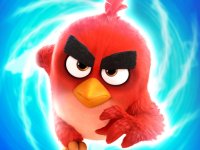 Angry Bird Puzzle Adventure
