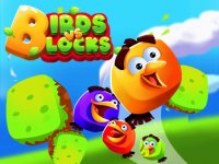 Birds and Blocks Arcade Puzzle