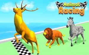 Swift Critter Track Challenge