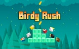 Birdy Rush Arcade Adventure