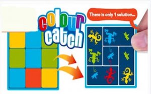 Color Catch Puzzle Adventure