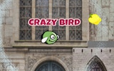 Crazy Bird City - Fly & Collect Adventure