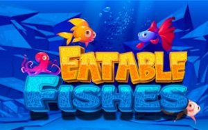 Numerical Reef Adventure