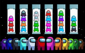 Impostor Sort Puzzle Game Online