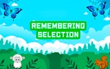 Animal Memory Challenge
